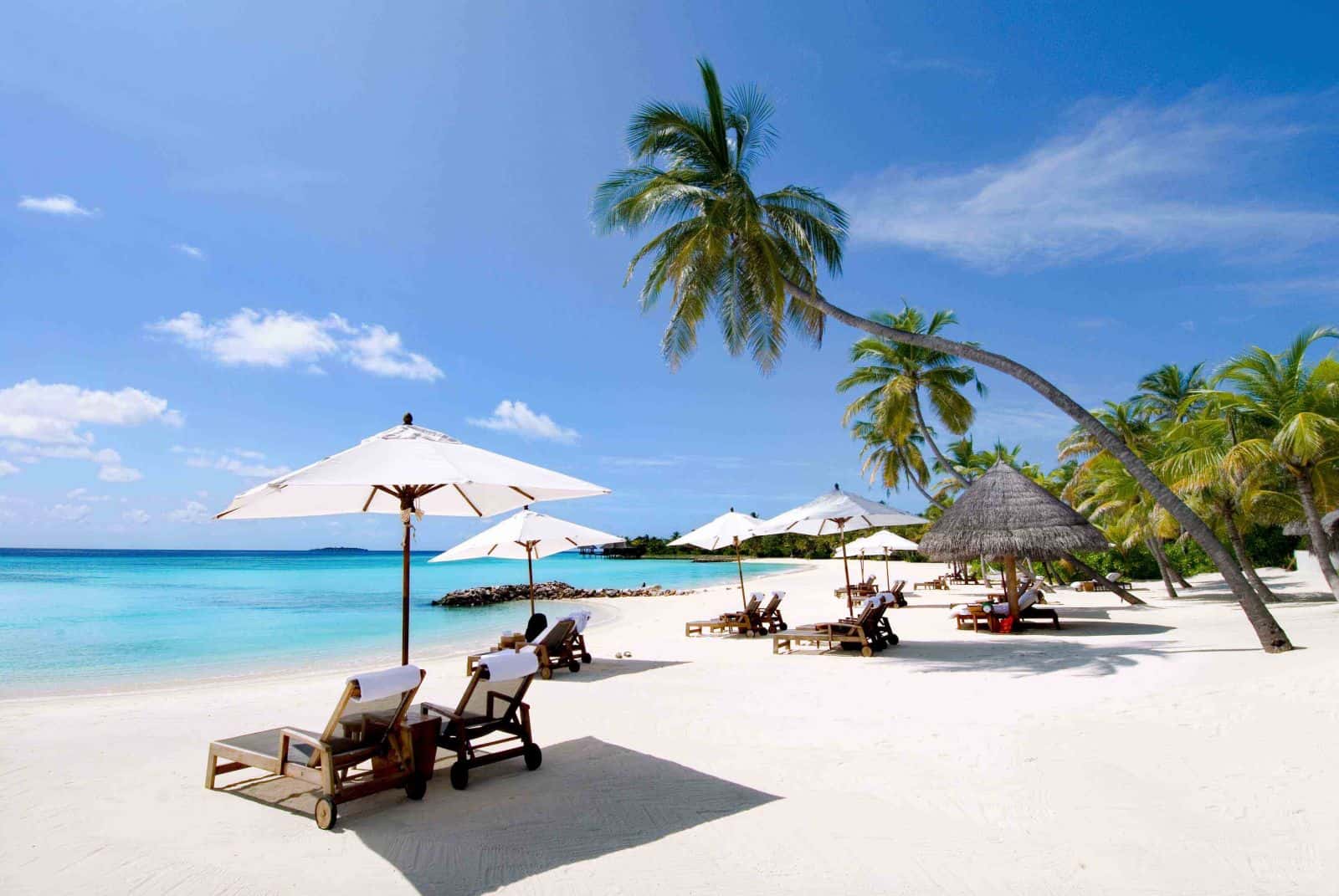 Experience Nha Trang’s wellness with guided group tours